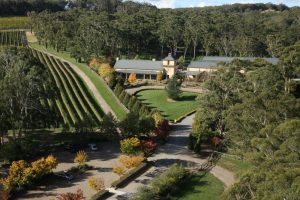 An aerial view of Centennial Vineyards-Thingsto do in Bowral